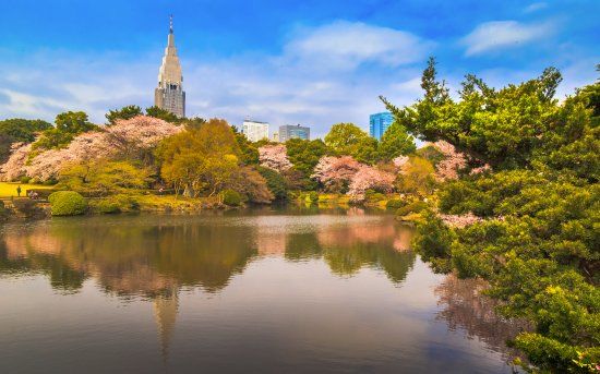Jardín Nacional Shinjuku Gyoen